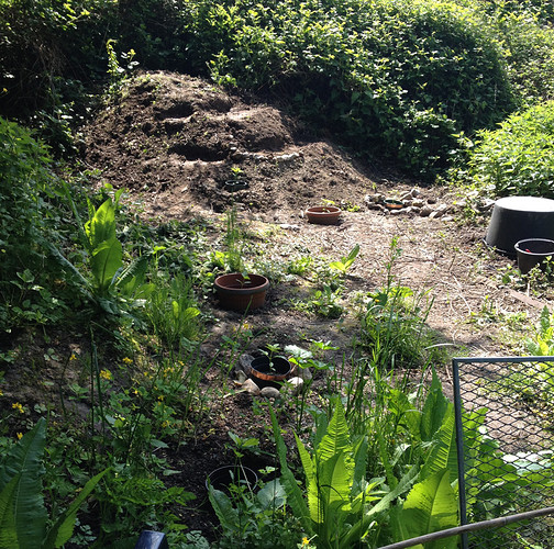 Growreport Bild 1