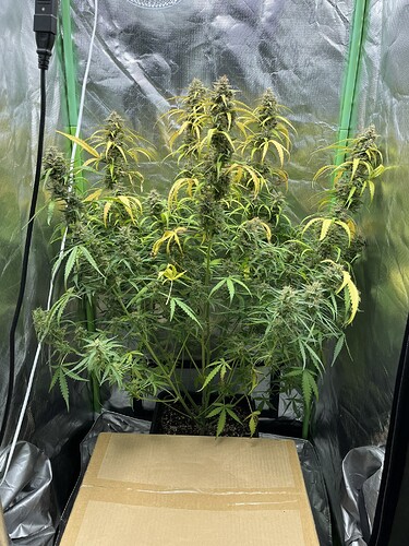 Growreport Bild 8