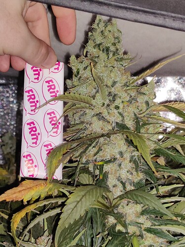 Growreport Bild 23