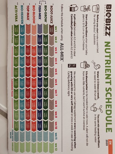 Growreport Bild 20