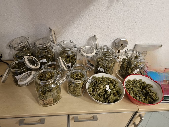 Growreport Bild 1