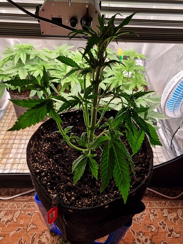 Growreport Bild 16