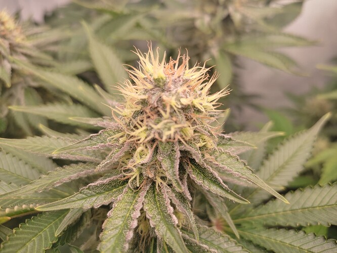 Growreport Bild 10
