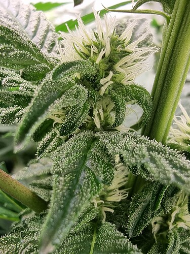 Growreport Bild 2