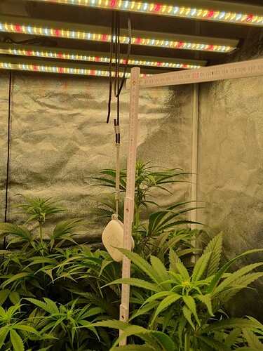 Growreport Bild 47