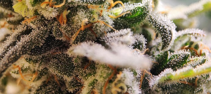 Growreport Bild 22