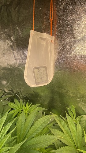 Growreport Bild 19