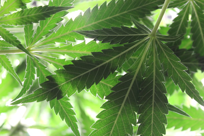 Growreport Bild 11
