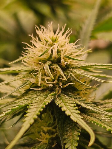 Growreport Bild 11