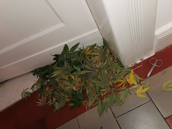 Growreport Bild 5