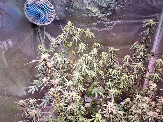 Growreport Bild 21