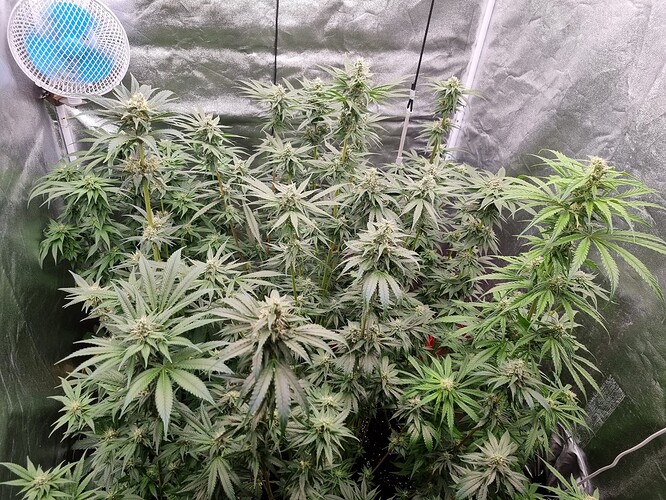 Growreport Bild 10