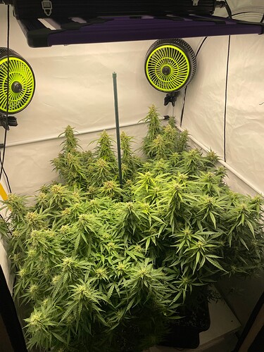 Growreport Bild 2