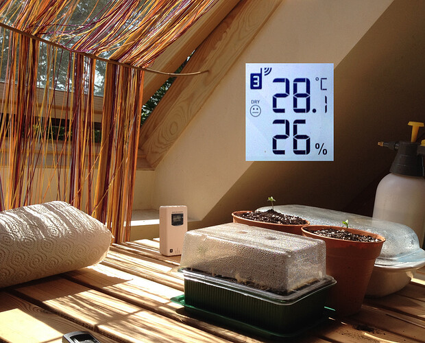 Growreport Bild 41