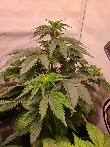 Growreport Bild 10