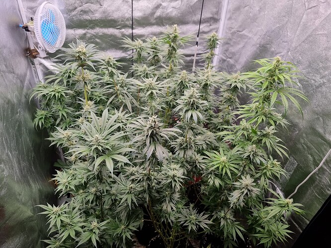 Growreport Bild 16