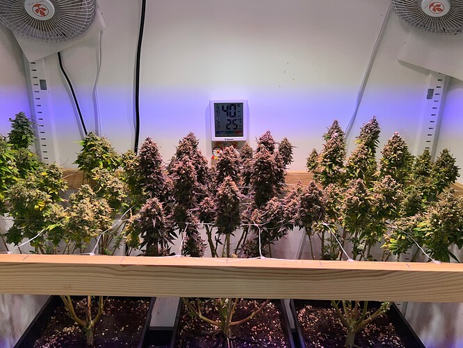 Growreport Bild 1