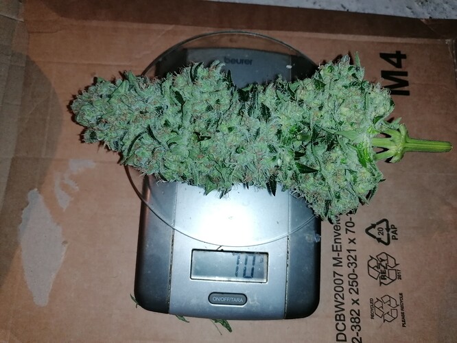 Growreport Bild 17