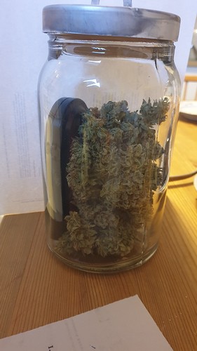 Growreport Bild 2