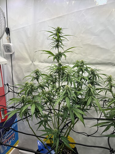 Growreport Bild 13