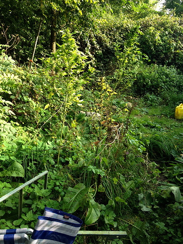 Growreport Bild 5