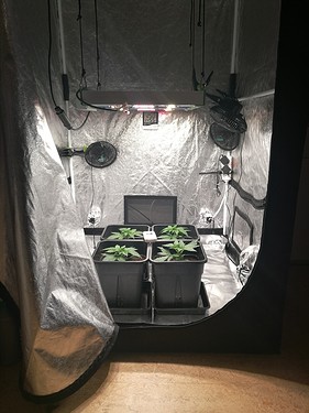 Growreport Bild 9