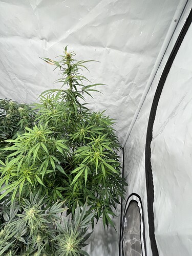 Growreport Bild 13