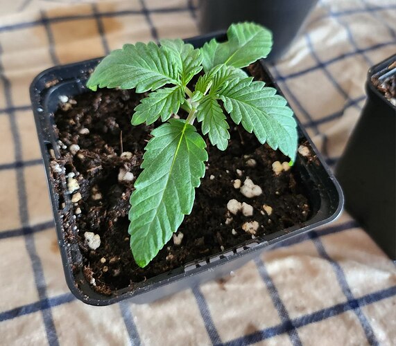 photo_2023-08-08_13-17-21