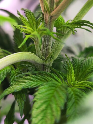 Growreport Bild 14