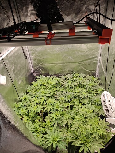 Growreport Bild 12