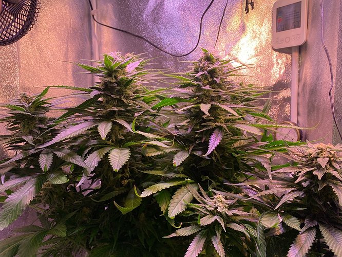 Growreport Bild 15