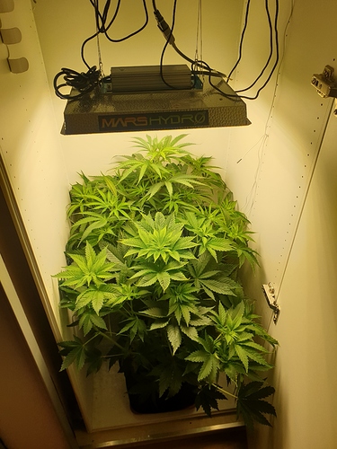 Growreport Bild 11