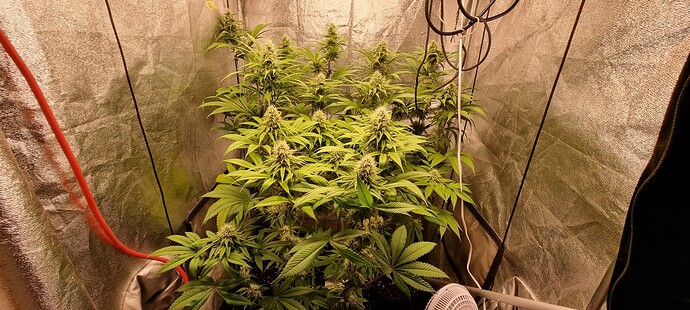 Growreport Bild 1