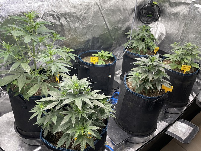 20211018_115016395_iOS