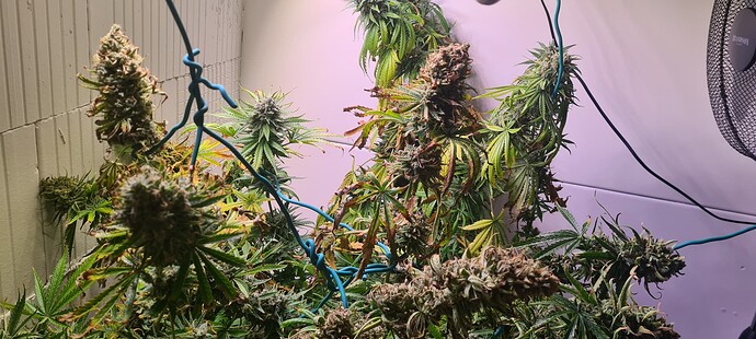 Growreport Bild 34