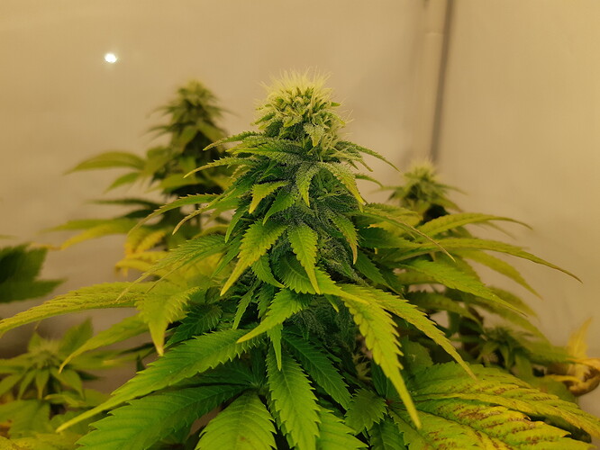 Growreport Bild 18