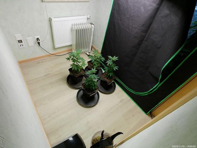 Growreport Bild 4