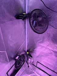 Growreport Bild 27