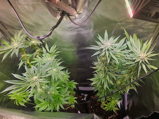 Growreport Bild 18