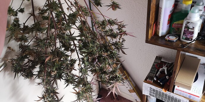 Growreport Bild 13