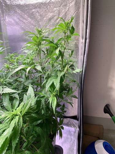 Growreport Bild 10