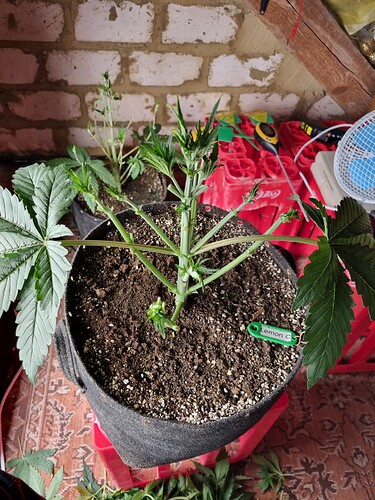 Growreport Bild 11