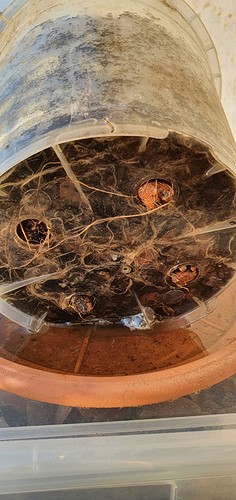 Growreport Bild 12