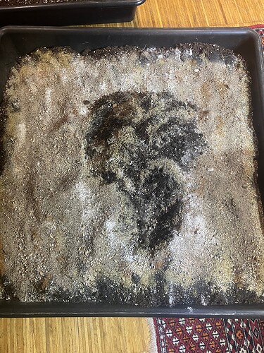 Growreport Bild 1