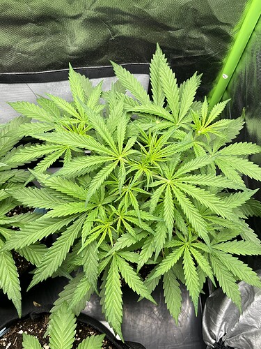 Growreport Bild 24