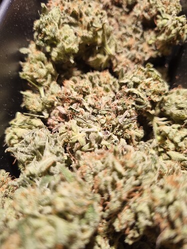 Growreport Bild 2