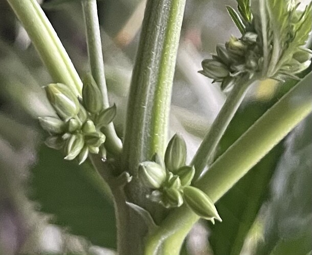 Growreport Bild 11