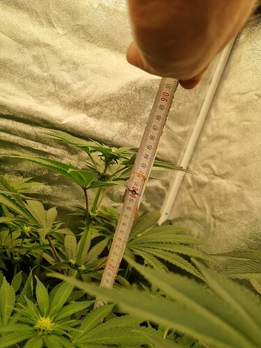Growreport Bild 16