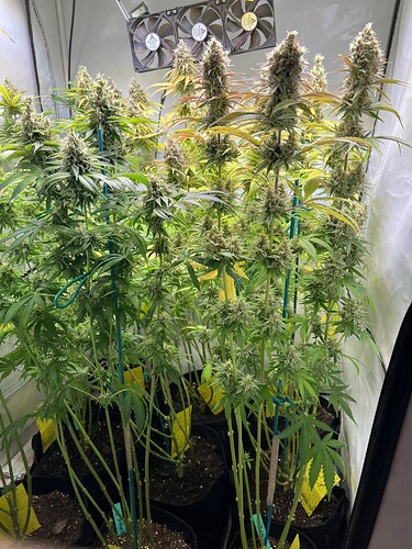 Growreport Bild 1
