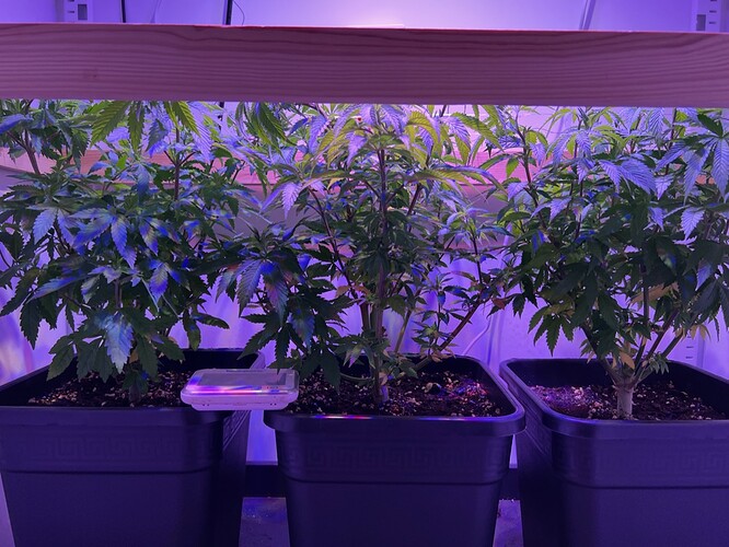 Growreport Bild 7